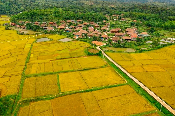 Phê duyệt Nhiệm vụ lập Điều chỉnh quy hoạch sử dụng đất quốc gia thời kỳ 2021 - 2030