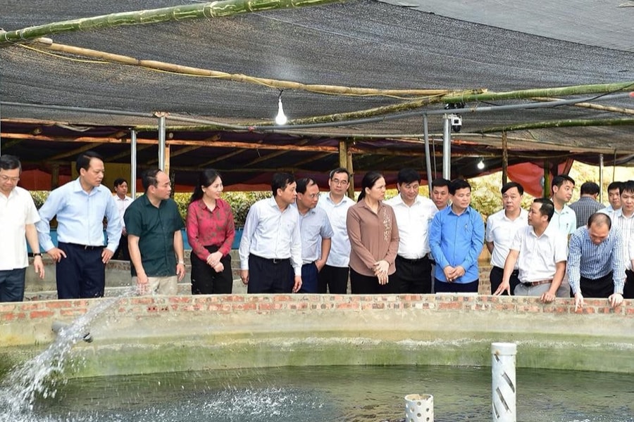 Lâm Bình (Tuyên Quang), khai thác tốt thế mạnh nông nghiệp gắn với phát triển du lịch