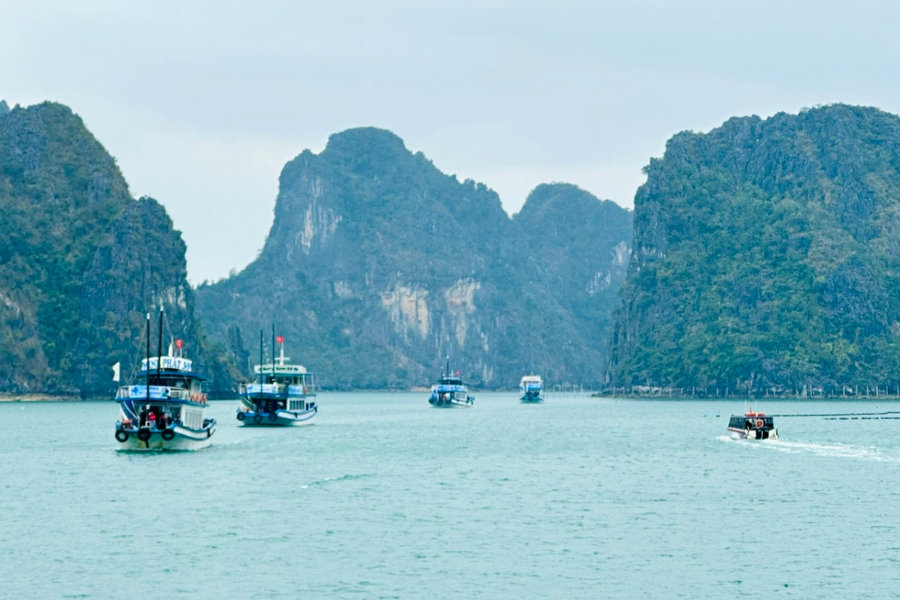 Khai trương tuyến du lịch tham quan vịnh Bái Tử Long