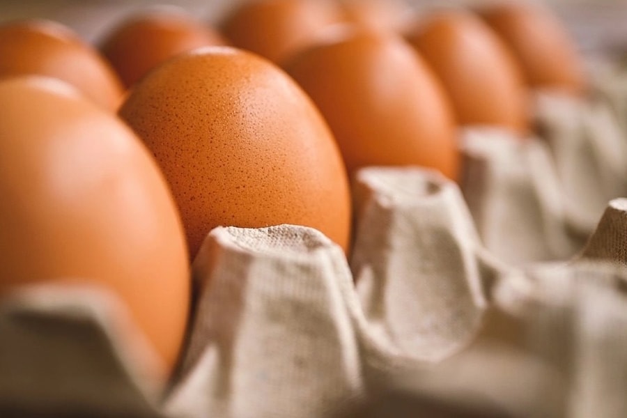 Singapore mở cửa, thịt và trứng gia cầm Việt Nam "rộng đường" xuất khẩu