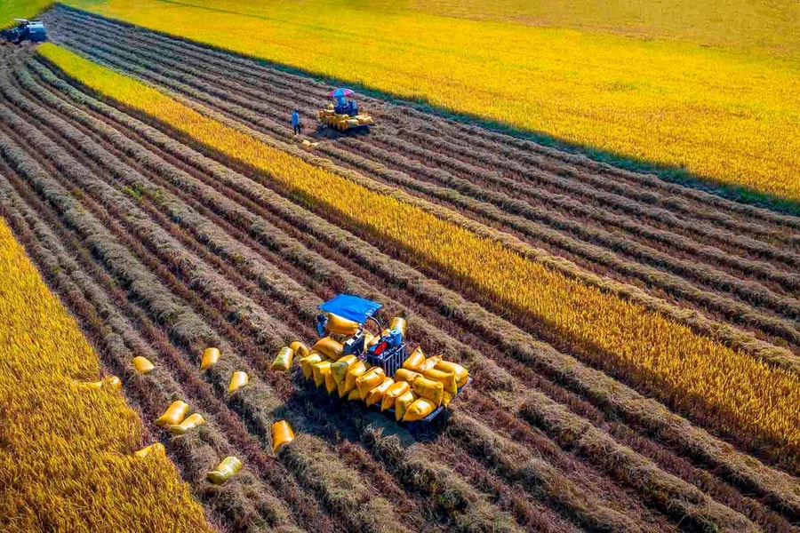 Thẩm quyền, thủ tục xác lập quyền sở hữu toàn dân về tài sản và xử lý đối với tài sản