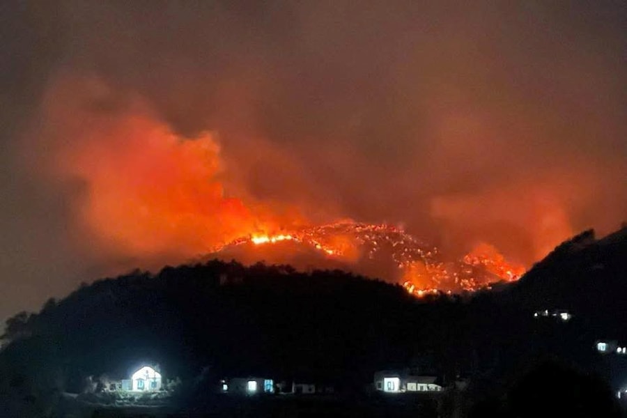 Quảng Ninh: Nhiều diện tích rừng bị thiêu rụi trong đêm