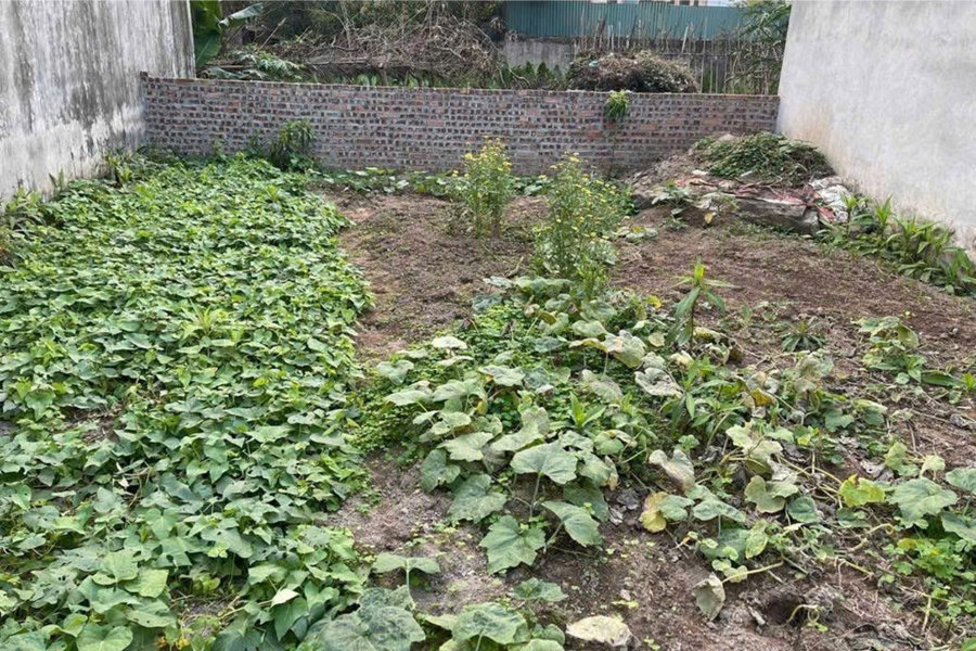 Hà Nội: Gần 1,7 triệu thửa đất được kê khai, đăng ký và cấp sổ