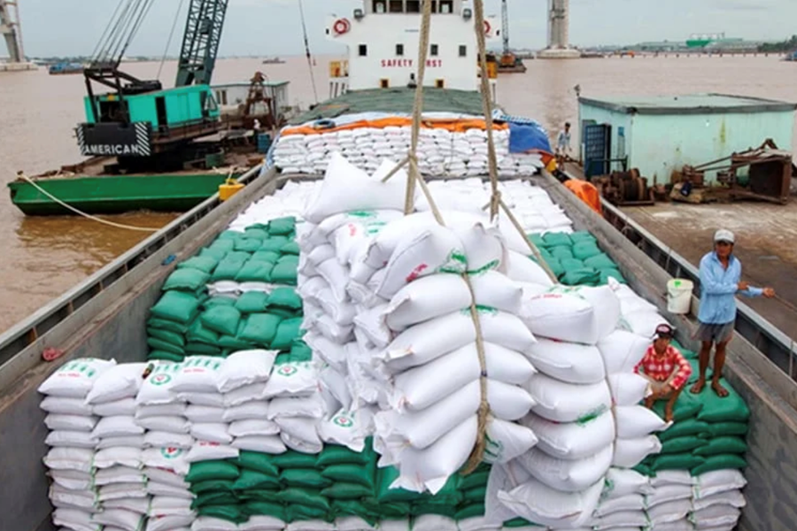 Cả nước có 152 doanh nghiệp đủ điều kiện kinh doanh xuất khẩu gạo