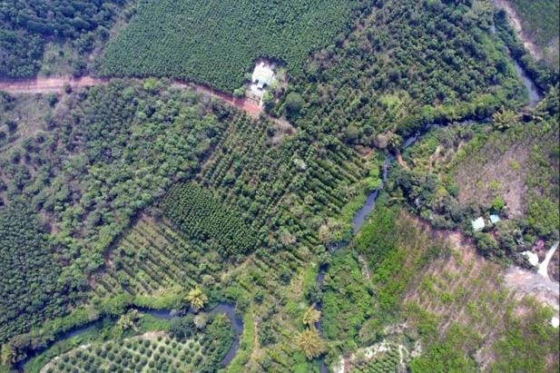 Rà soát, đánh giá kỹ tác động môi trường khi đầu tư tuyến đường kết nối Bình Phước - Đồng Nai