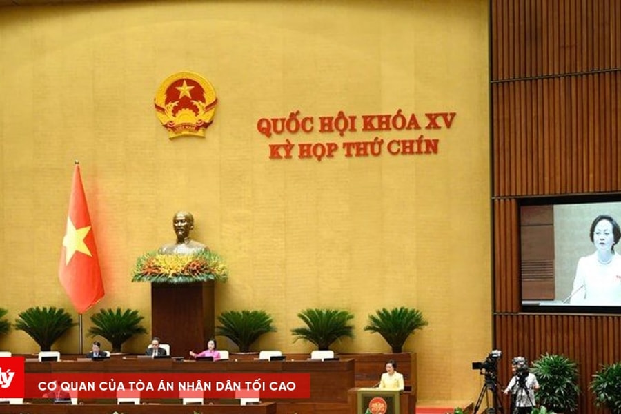 Chủ trương xây dựng nền công vụ liên thông từ Trung ương đến cấp xã