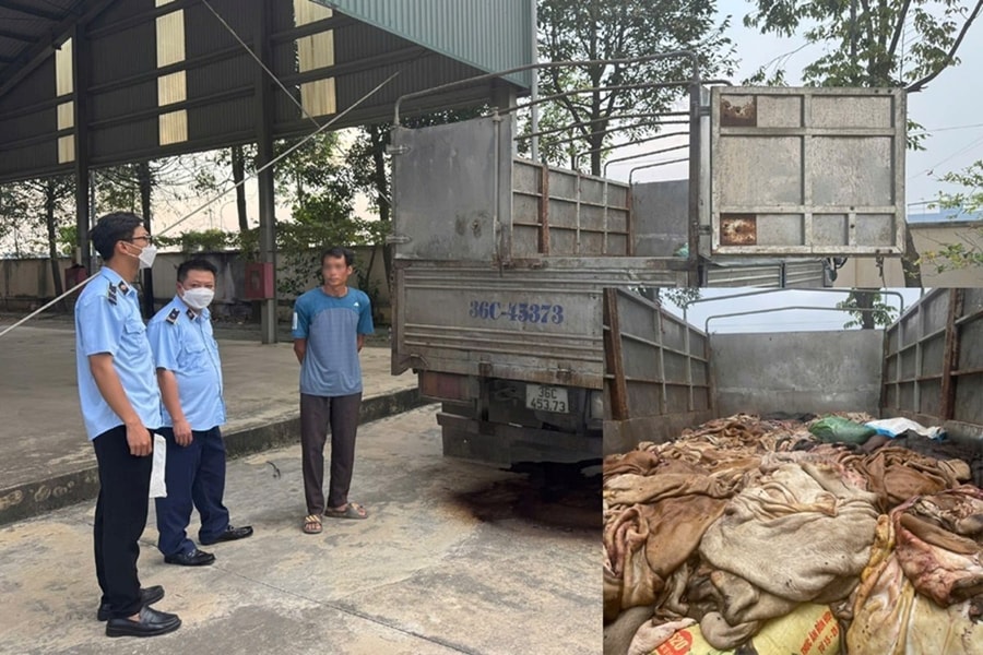 Thanh Hóa bắt giữ gần 5 tấn da trâu, da bò không rõ nguồn gốc, xuất xứ