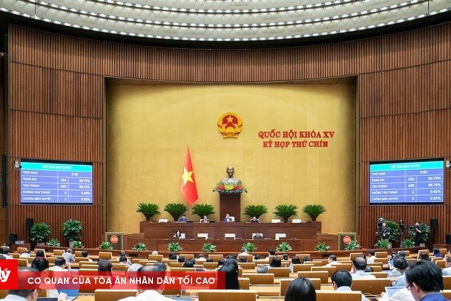 Quốc hội thông qua Nghị quyết về cơ chế, chính sách đặc biệt phát triển kinh tế tư nhân