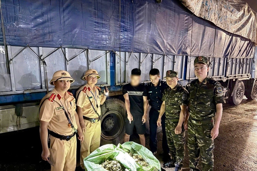 Phát hiện lượng lớn dây hàu giống không rõ nguồn gốc