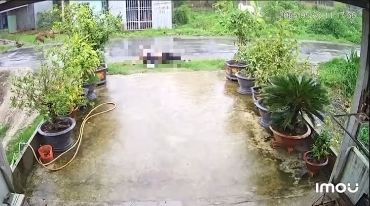 Trà Vinh: Đi xe máy vướng dây điện sau mưa lớn, 2 thanh niên tử vong