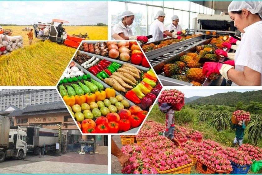 Thủ tướng: Không để tình trạng ùn tắc hàng hóa, nông sản tại cửa khẩu