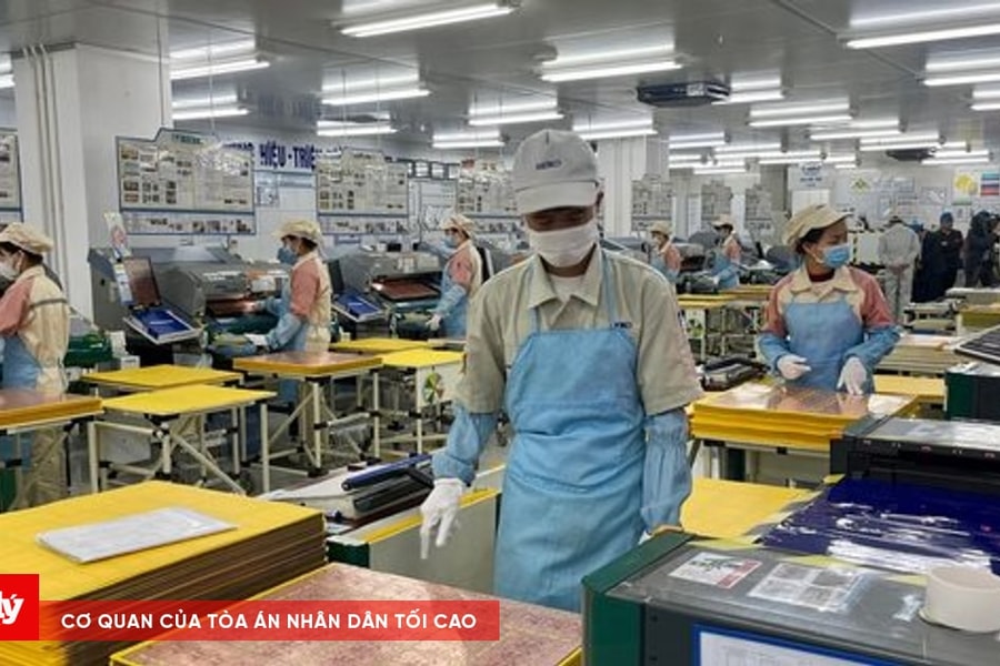 Doanh nghiệp xuất khẩu chủ động mở rộng thị phần nội địa