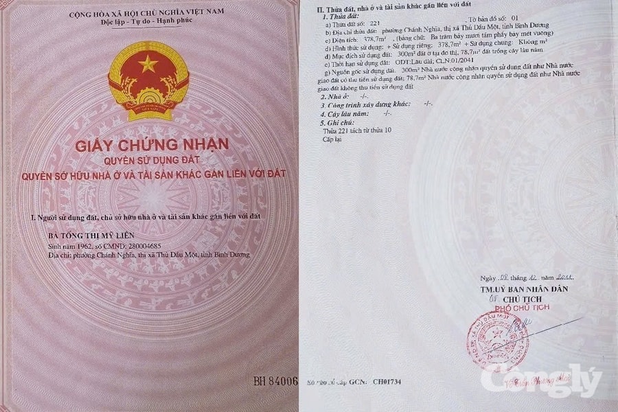 Bình Dương: Người mua nhà đất ngay tình bị kiện đòi đất sau 35 năm sử dụng