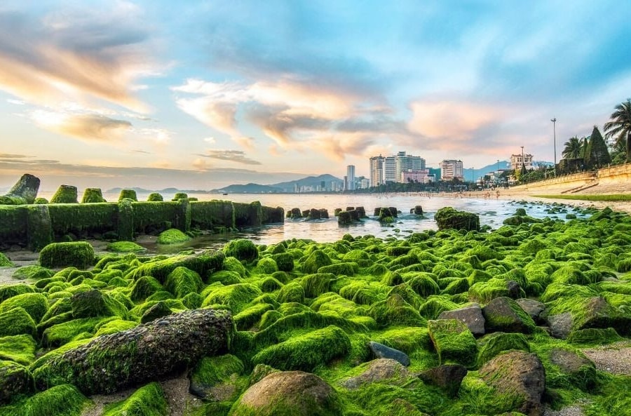 Nha Trang dẫn đầu danh sách điểm đến được du khách Hàn Quốc tìm kiếm nhiều nhất