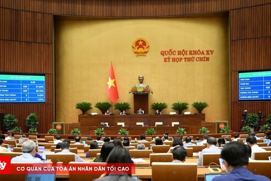 Bỏ hình phạt tử hình với 8 tội danh