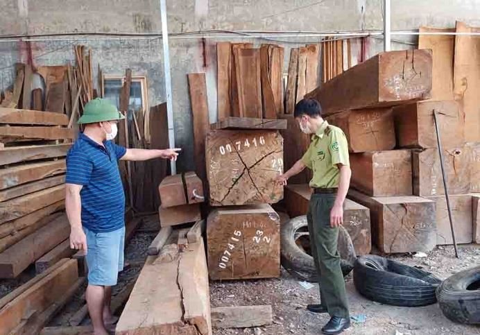 Thông tư mới quy định hình thức kiểm tra, truy xuất nguồn gốc lâm sản