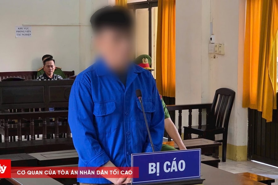 Giả mạo giấy tờ, chiếm đoạt tiền bạc – cái giá là 7 năm sau song sắt