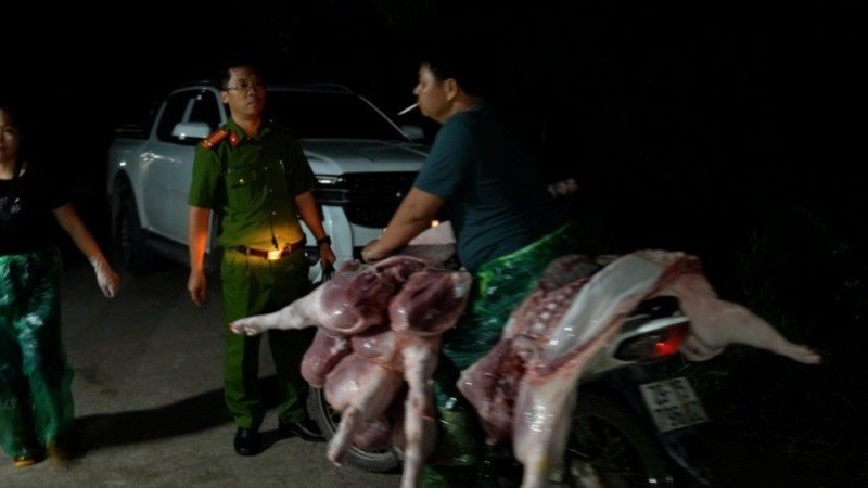 Hà Nội: Khởi tố 3 vụ án buôn bán, tiêu thụ lợn chết, lợn bệnh ra chợ, quán ăn