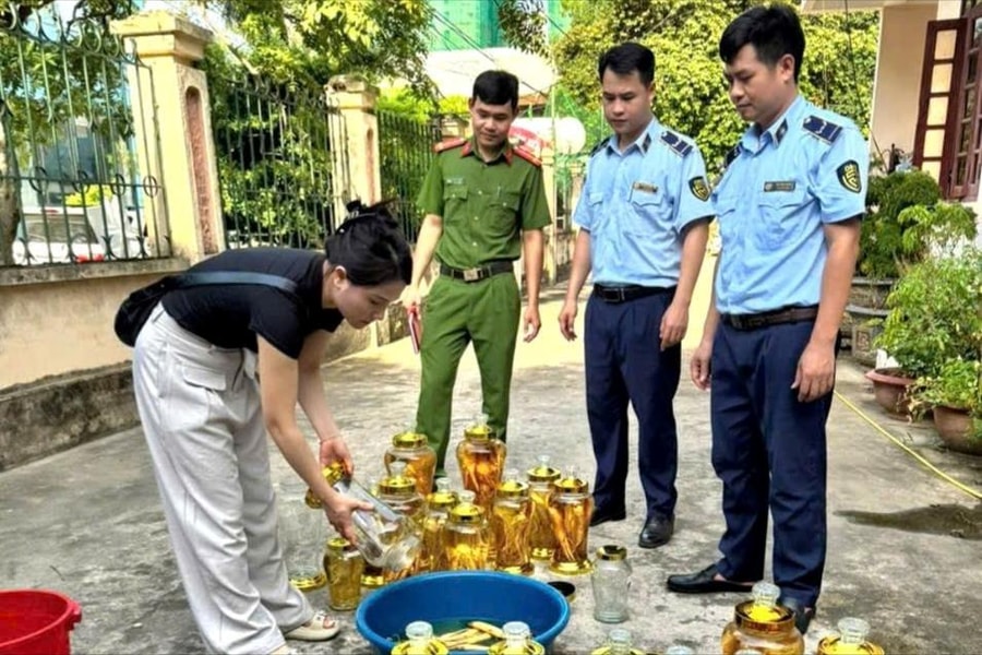 Tiêu hủy 142 lít rượu sâm không rõ nguồn gốc xuất xứ