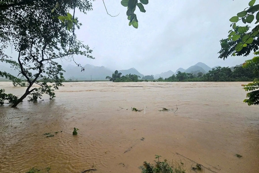 Khẩn trương khắc phục hậu quả bão số 3, khôi phục sản xuất và ổn định đời sống Nhân dân