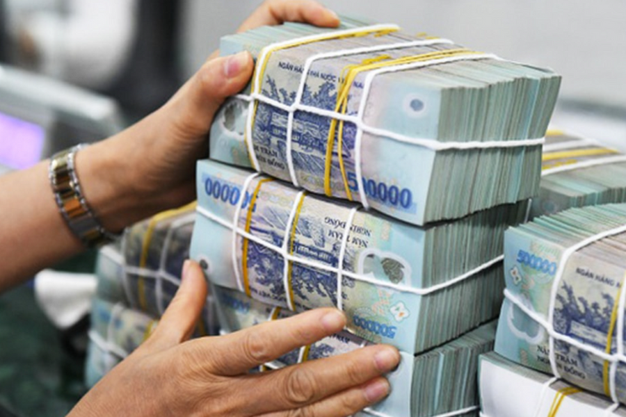 Doanh nghiệp tư nhân nào nộp ngân sách Nhà nước lớn nhất?