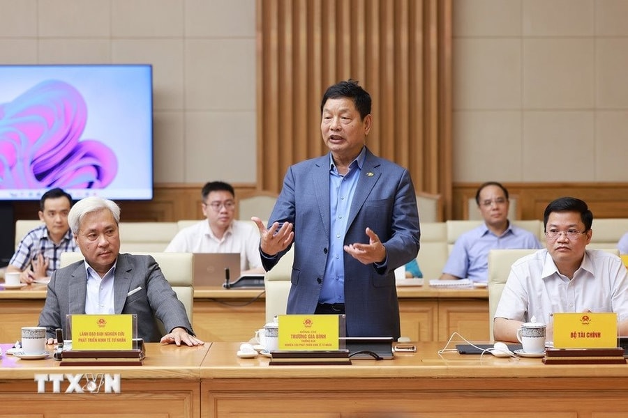 Thủ tướng giao nhiệm vụ đặc biệt cho Chủ tịch FPT và VinaCapital