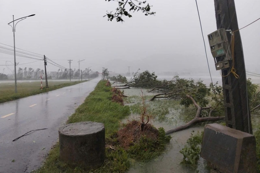 Khẩn trương khắc phục hậu quả bão số 5, khôi phục sản xuất, kinh doanh