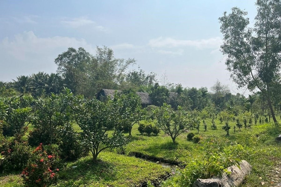 Niềm tin Công lý: Công lý không có vùng cấm