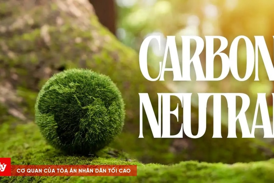Cộng đồng doanh nghiệp tham gia tích cực vào trung hòa carbon
