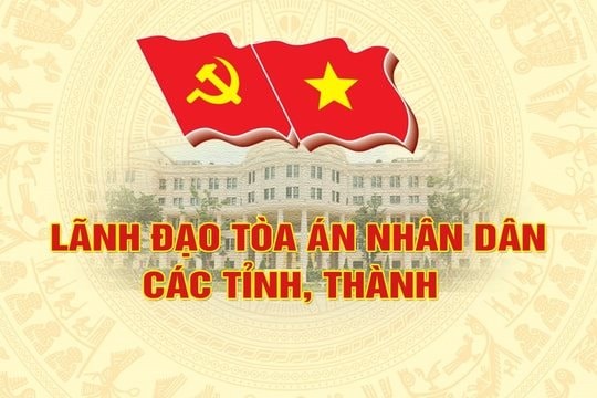 Chân dung lãnh đạo Tòa án nhân dân các tỉnh, thành tham gia Ban Chấp hành Đảng bộ cấp tỉnh