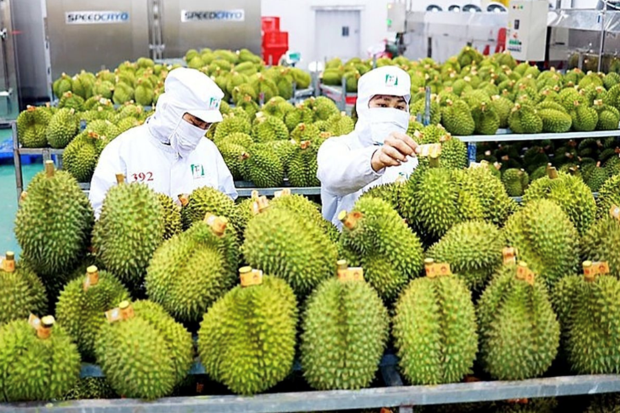 Từ năm 2026, Trung Quốc áp dụng chuẩn nhập khẩu nông sản mới