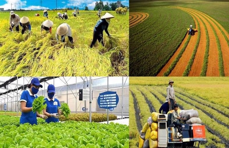 Chính sách mới có hiệu lực từ tháng 1/2026