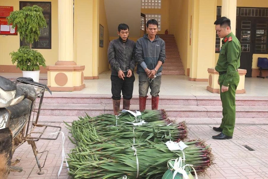 Bắc Ninh: Công an xã Tân Dĩnh làm rõ hai đối tượng trộm cắp tài sản