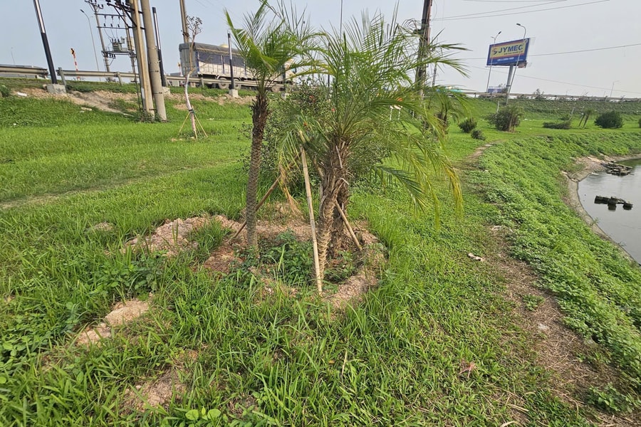 Bắc Ninh: Chủ đầu tư khẩn trương khắc phục các tồn tại tại dự án trang trí nút giao gần 10 tỷ đồng