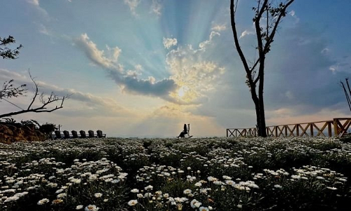 'Lời của gió'- Cuộc đối thoại nội tâm của người đi qua biến động lịch sử