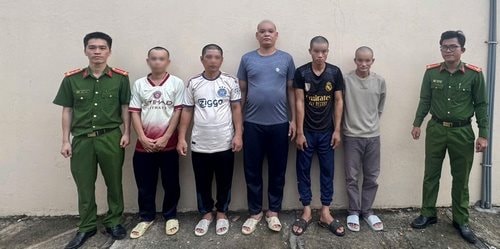 Khởi tố 5 đối tượng săn bắt, mua bán voọc bạc Đông Dương tại Phú Quốc