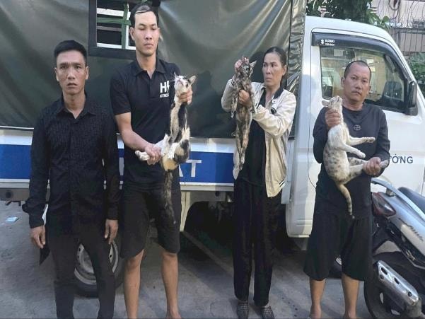 Từ những vụ mất mèo bí ẩn đến chuyên án triệt phá đường dây quy mô lớn