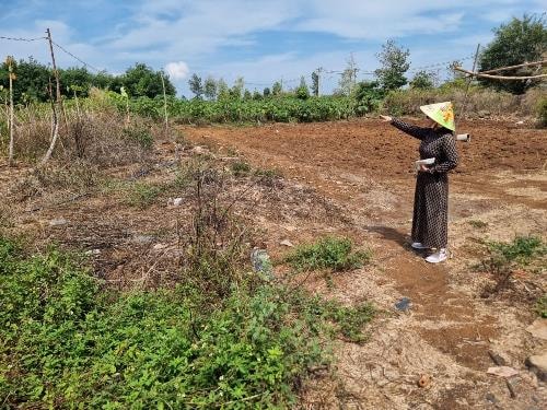 Tòa án có quyền hủy “sổ đỏ” đã sang tên cho người thứ ba