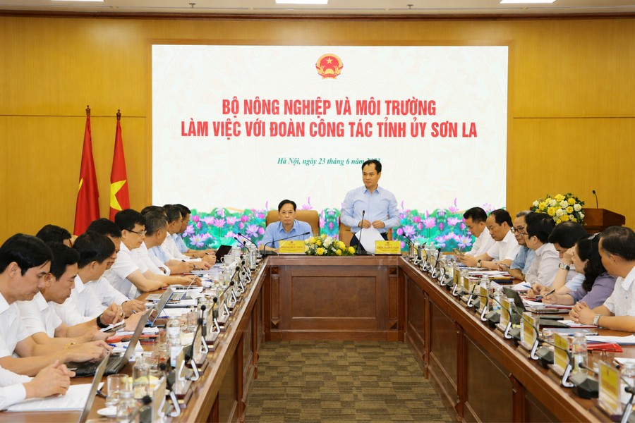 Bảo đảm quyền lợi người dân tái định cư thủy điện Sơn La