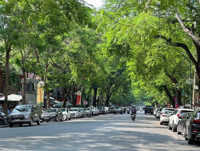 Thời tiết 29/6: Bắc bộ mưa về chiều tối, Trung bộ hạ nhiệt