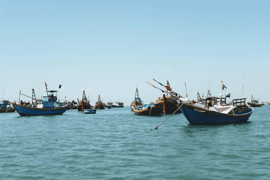 Lâm Đồng quản lý 100% tàu cá trên VNFishbase