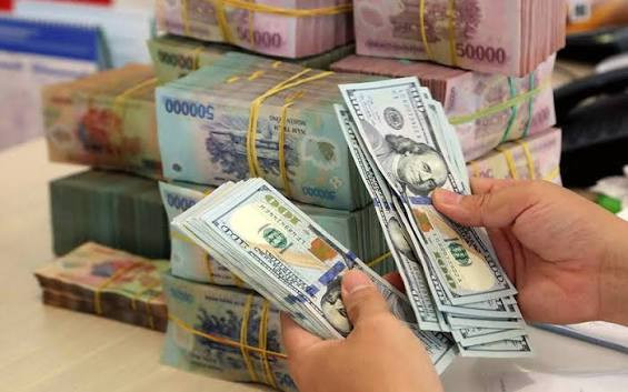 Tỷ giá ngoại tệ ngày 1/8: USD, EUR và GBP điều chỉnh trong biên độ hẹp