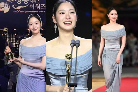 Kim Go Eun gây bất ngờ khi giành Daesang Blue Dragon Series Awards 2026