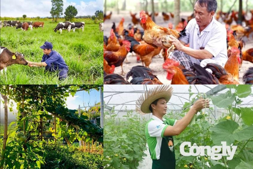 Nhiều chính sách mới chính thức có hiệu lực từ tháng 8/2026