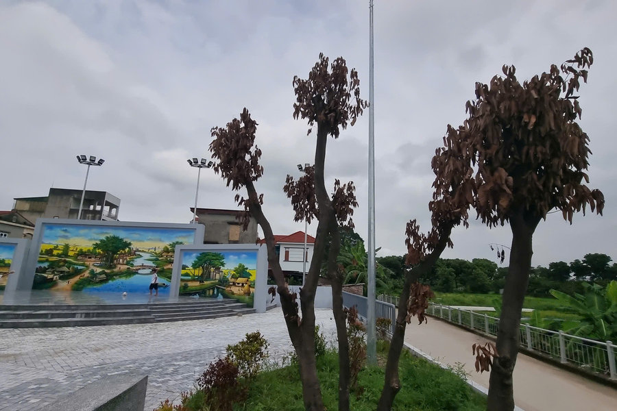 Nội Bài, Hà Nội: Điều gì đang diễn ra tại vườn hoa gần 10 tỷ đồng?
