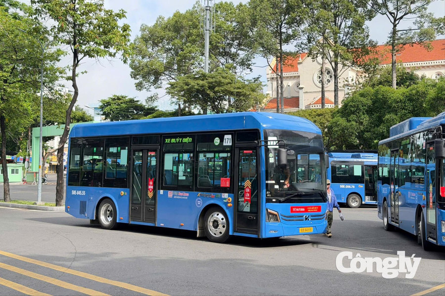 Gần 12 triệu lượt hành khách đi xe buýt miễn phí ở TP.HCM