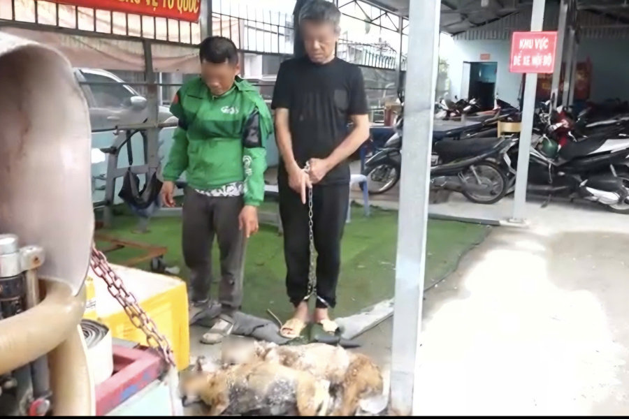 Khởi tố 2 đối tượng liên quan vụ trộm 5 con chó