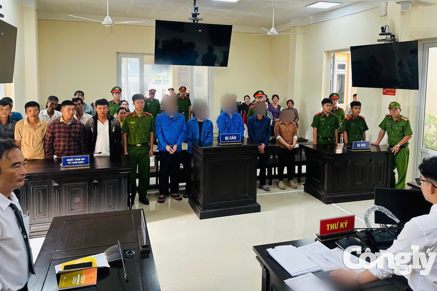 Bóng tối đằng sau những con dấu kiểm dịch