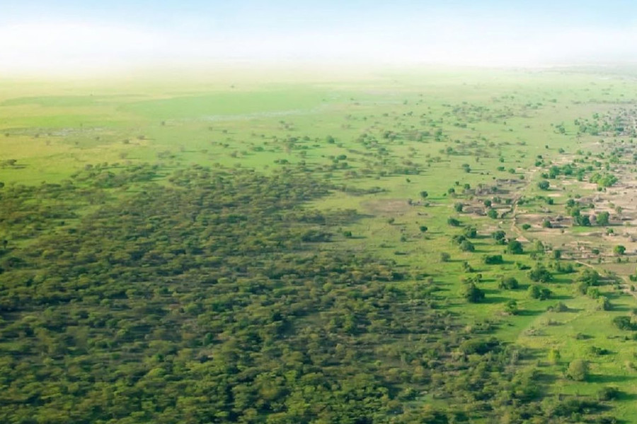 Bức Tường Xanh Vĩ Đại: Hành trình hồi sinh vùng đất dài 8.000 km