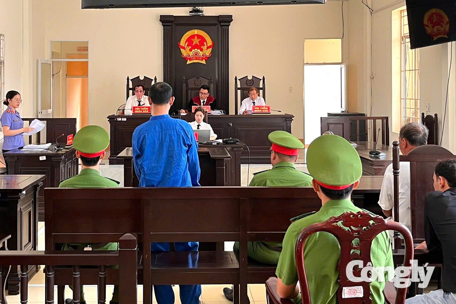 Tổ chức đá gà ăn tiền, người đàn ông lĩnh án tù